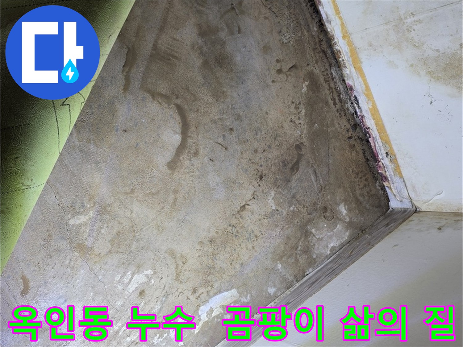 장판 밑 곰팡이 - 옥인동 곰팡이 제거 후 삶의 질 향상