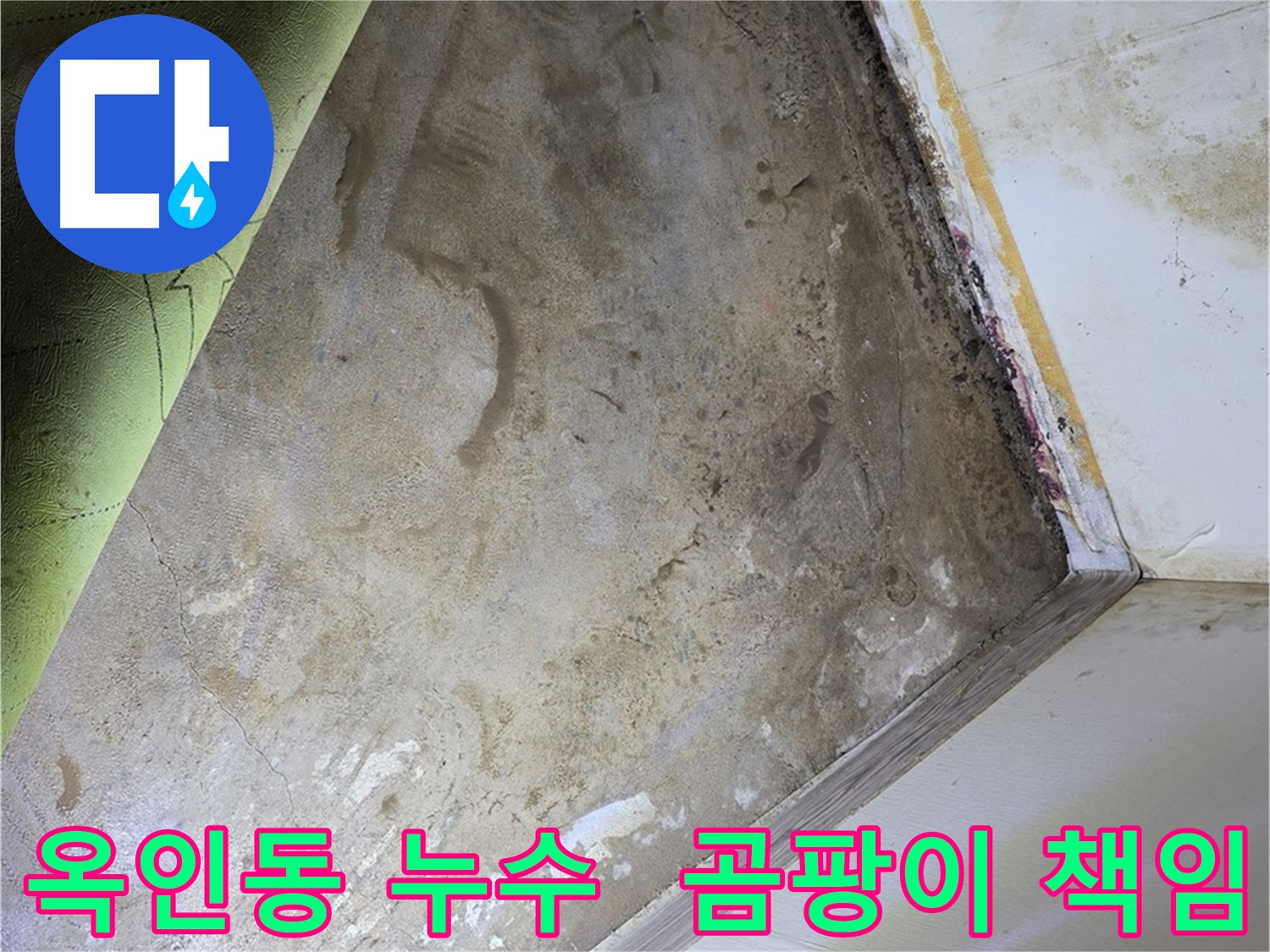 장판 밑 곰팡이 - 옥인동 누수 탐지부터 곰팡이 제거까지