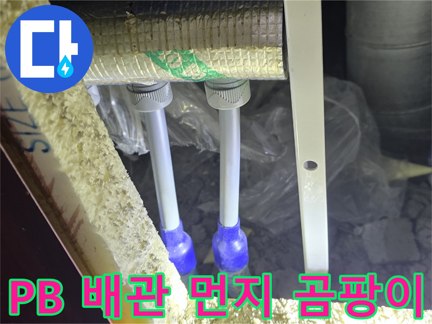 삼숭동 양주자이 누수 - PB 배관 연결 부속 주변 먼지 뭉침 및 곰팡이 흔적 초기 발견