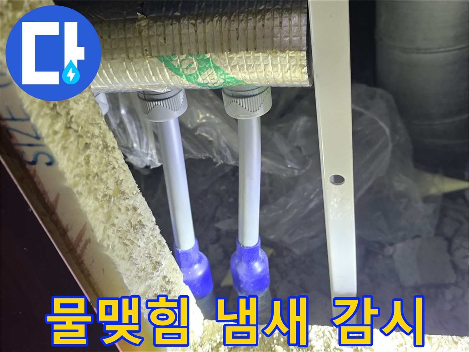 삼숭동 양주자이 누수 - 배관 연결 부속 주변 물맺힘 및 곰팡이 냄새 발생 여부 집중 감시