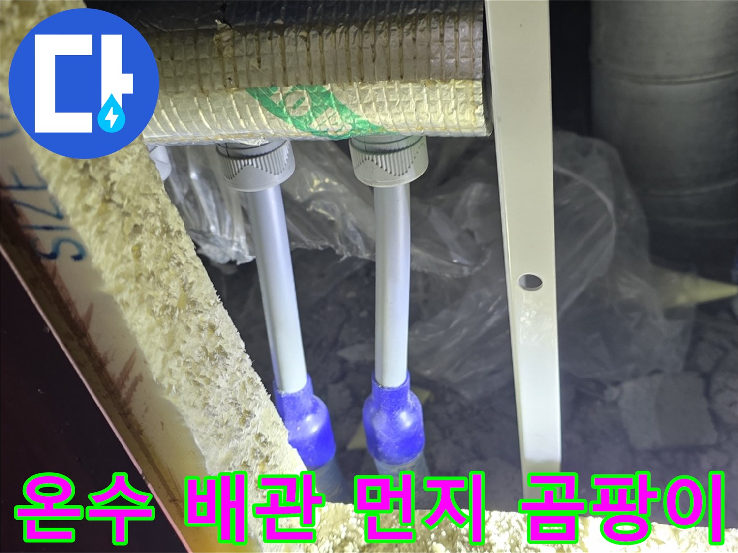 삼숭동 양주자이 누수 - 온수 배관 연결 부위 주변 먼지 뭉침 및 곰팡이 초기 발생 여부 집중 검사