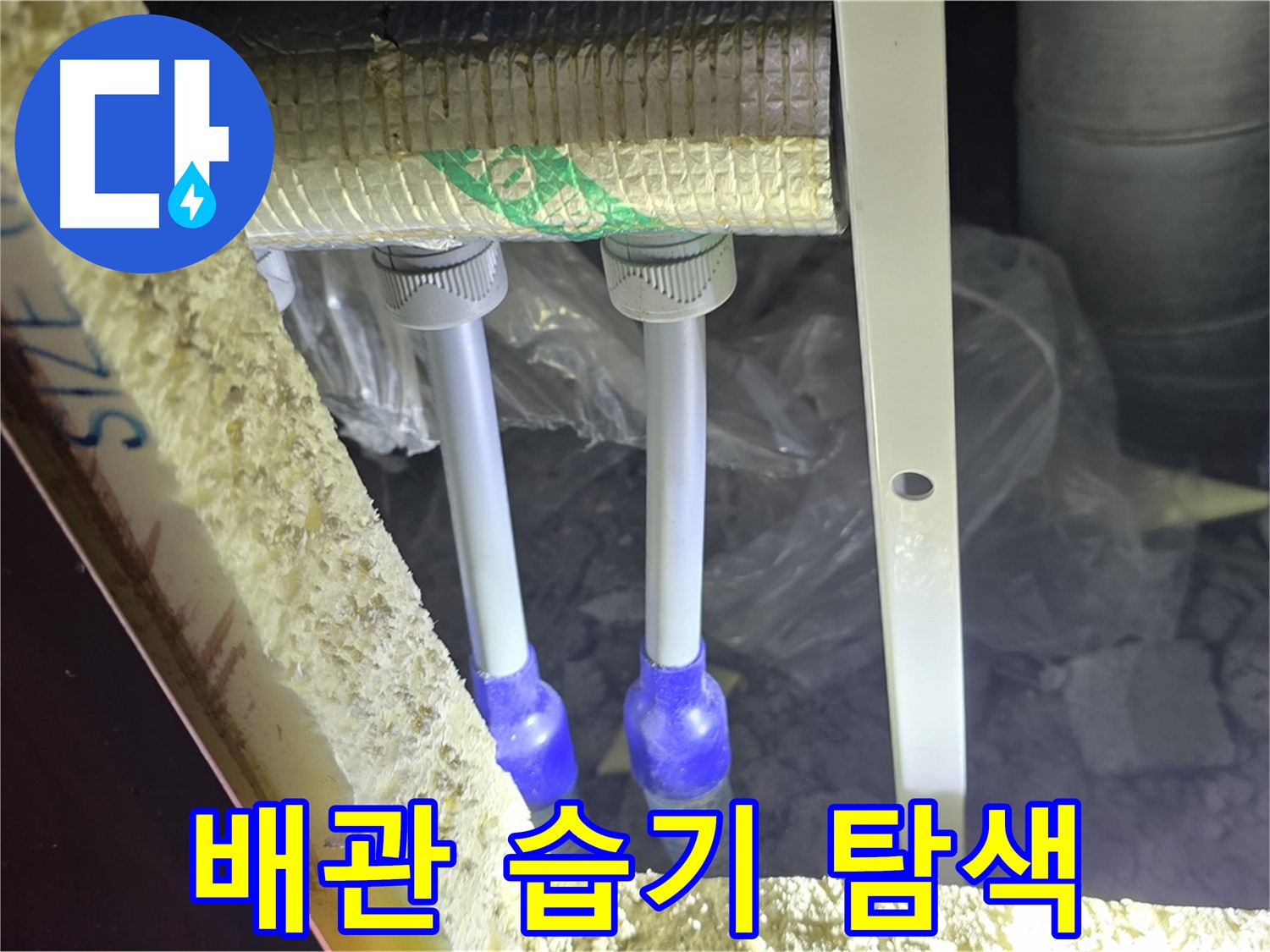 삼숭동 양주자이 아파트 누수 - 배관 연결 부속 주변 습기 및 누수 징후 꼼꼼하게 탐색