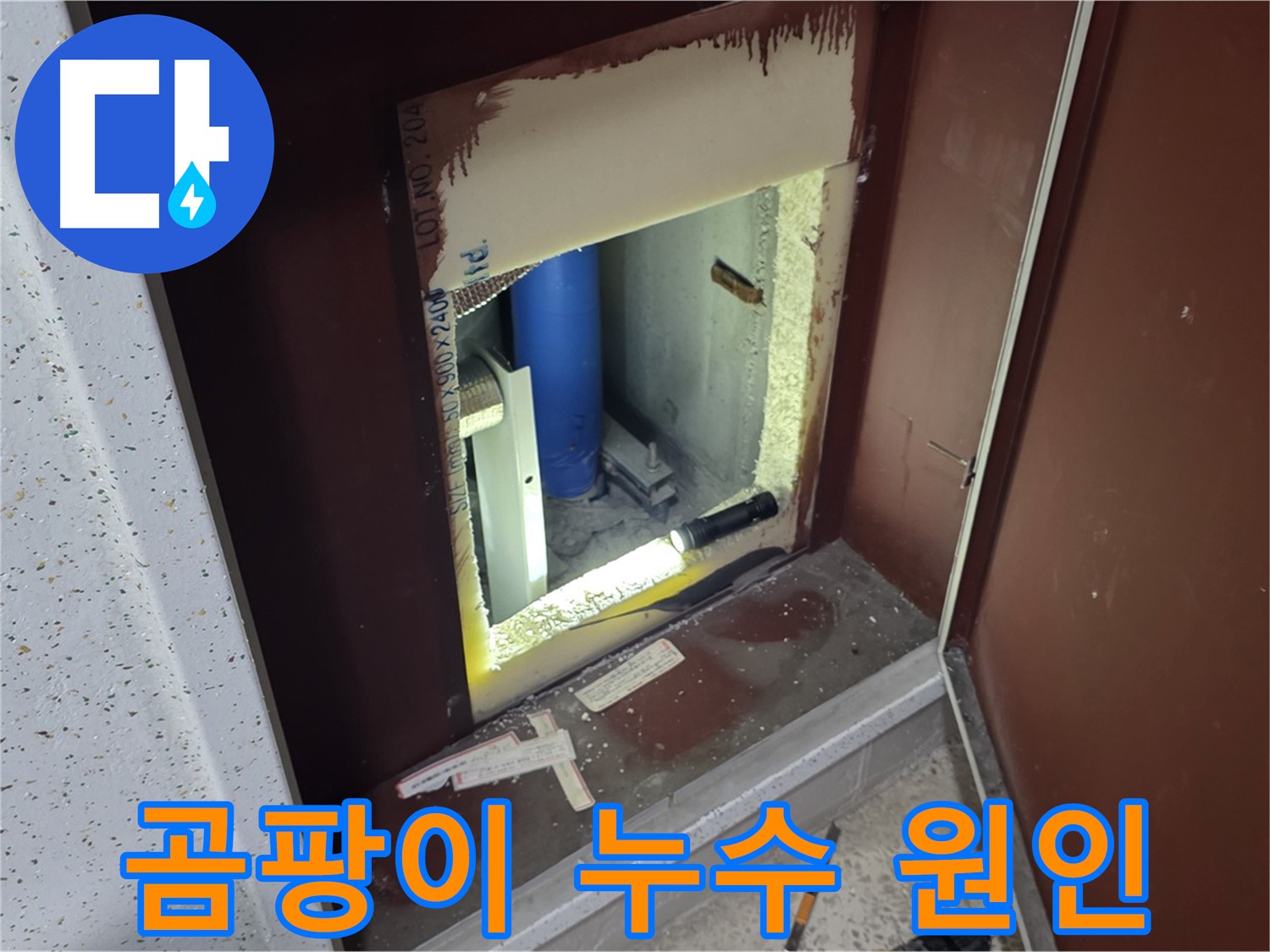 삼숭동 자이 아파트 - 점검구 속 곰팡이 - 누수 때문?!