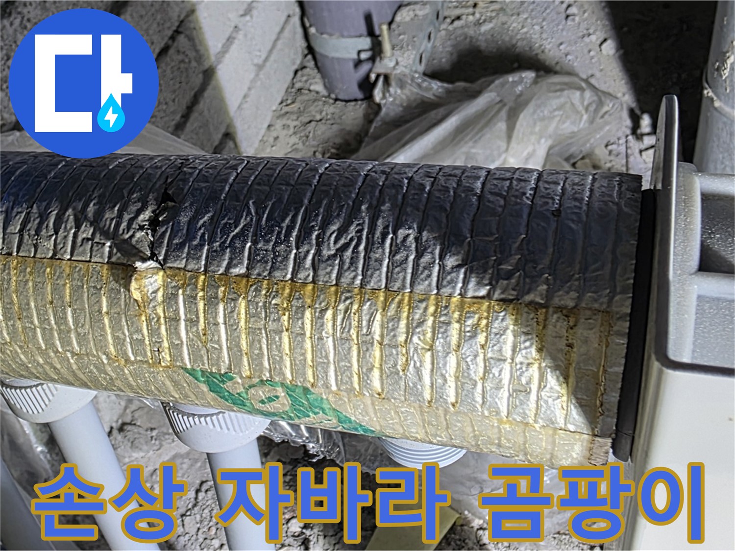 삼숭동 자이아파트 배관 - 손상된 자바라, 곰팡이 서식