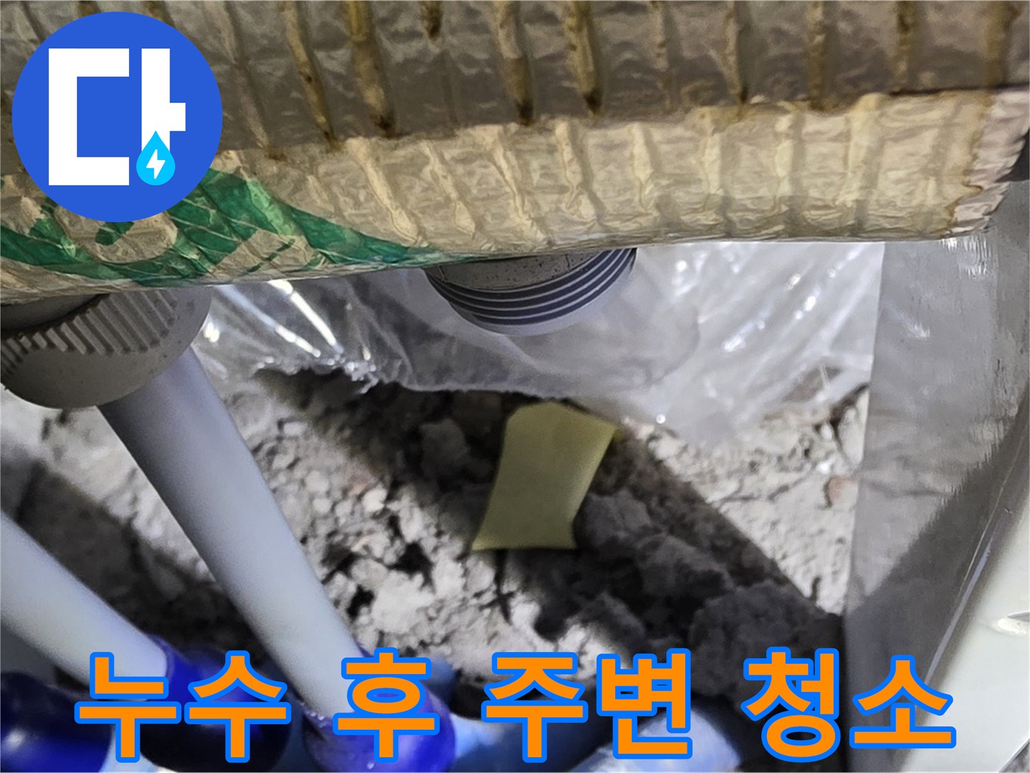 세탁실 하수구 누수 - 주변 청소 및 곰팡이 제거