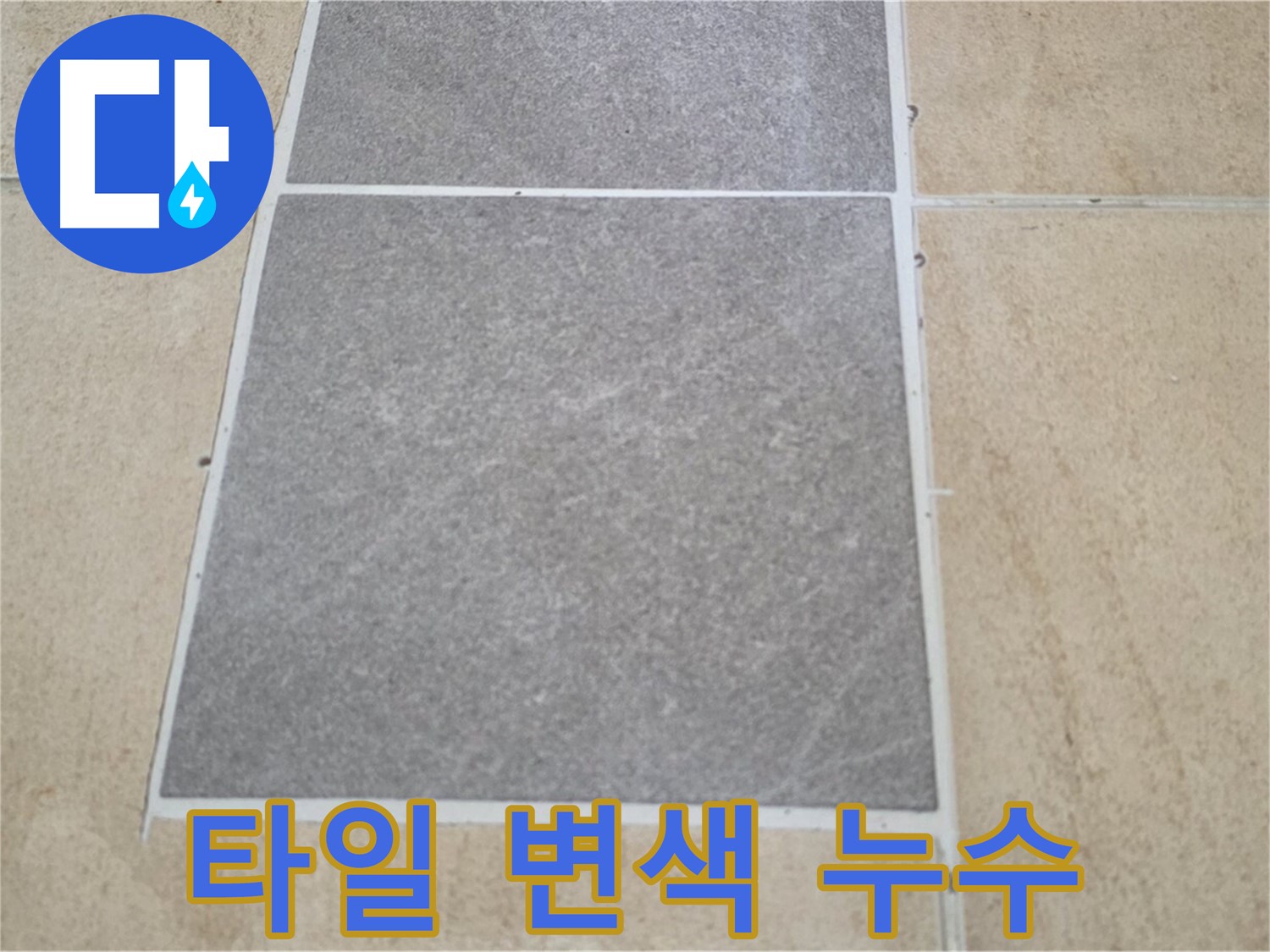 양주 삼숭동 아파트 - 거실 타일 변색 - 누수 가능성을 꼼꼼하게 점검하고 있습니다.