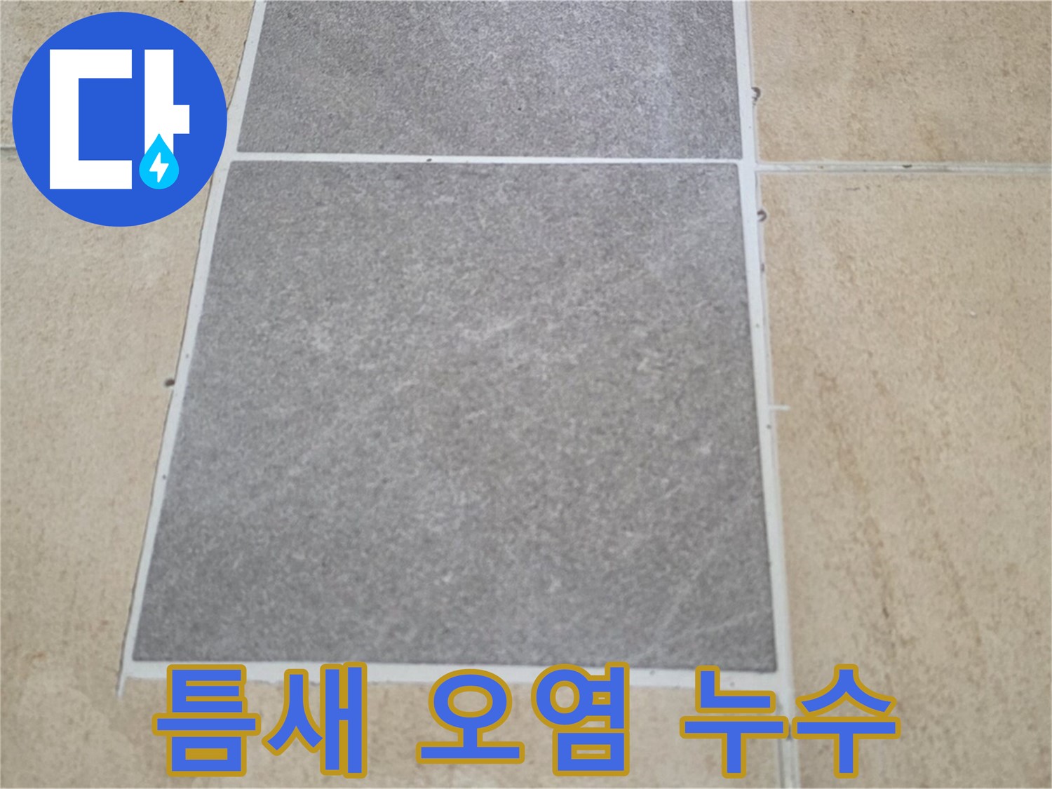 양주 삼숭동 아파트 - 타일 틈새 오염 상태를 확인하여 누수 가능성을 점검하고 있습니다.