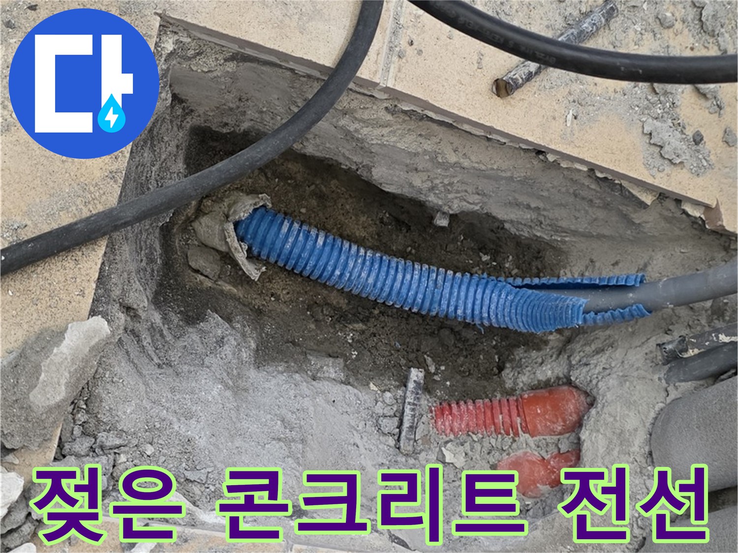 양주 삼숭동 자이아파트 누수 - 굴착 후 젖은 콘크리트와 꼬불거리는 파란 전선관이 드러났어요