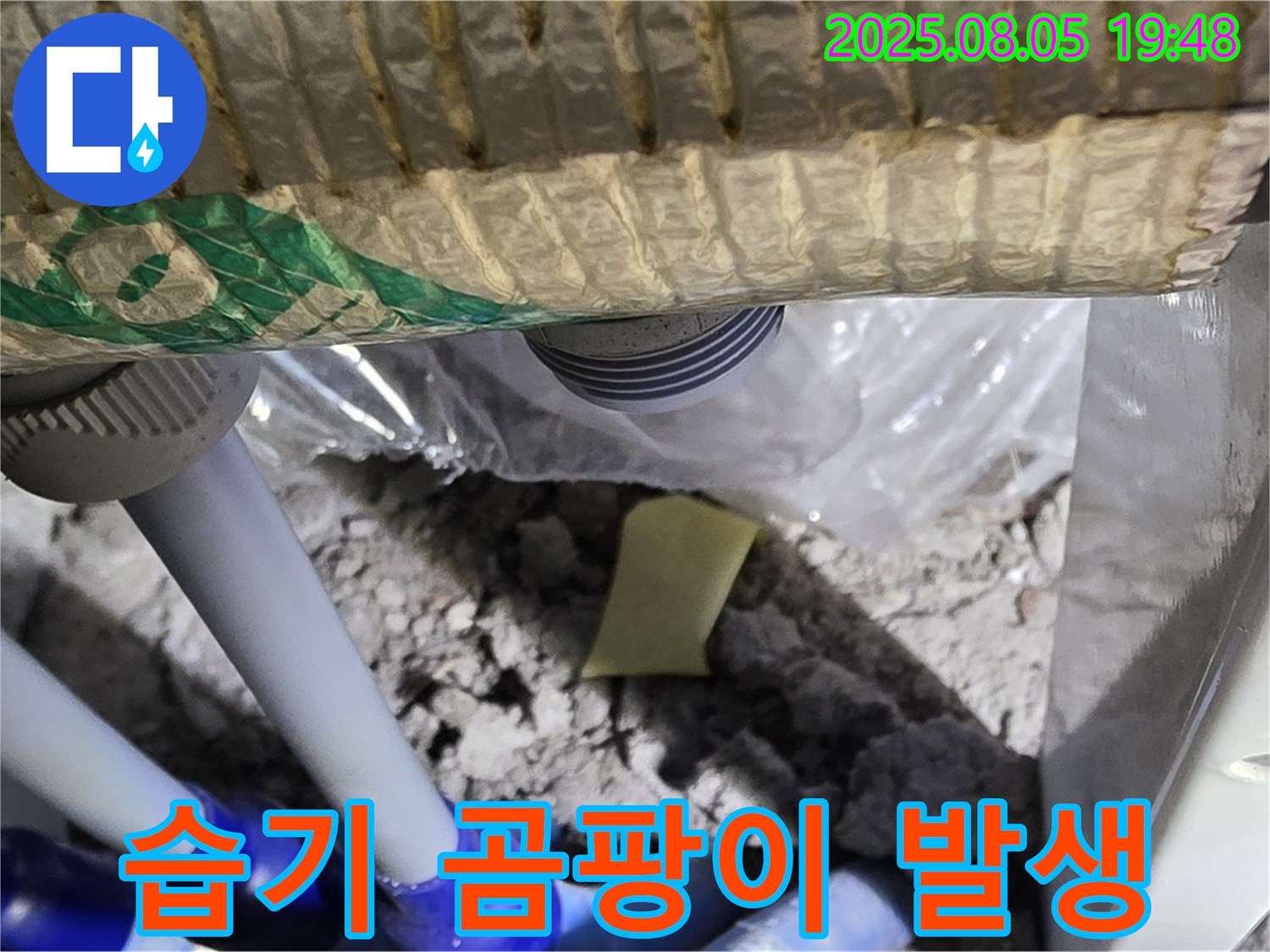 양주 삼숭동 자이아파트 누수 - 배관 연결 부위 주변의 습기 및 곰팡이 발생 상태 확인