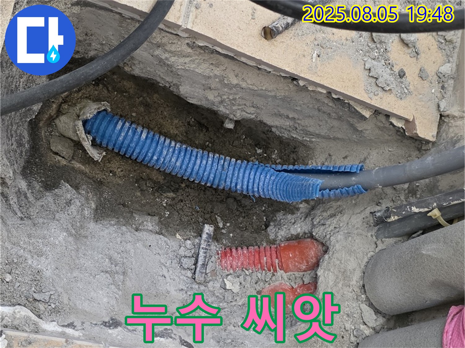 양주 삼숭동 자이아파트 누수 - 부실한 시공, 숨겨진 누수의 씨앗을 제거하고 튼튼하게 다시 심겠습니다.