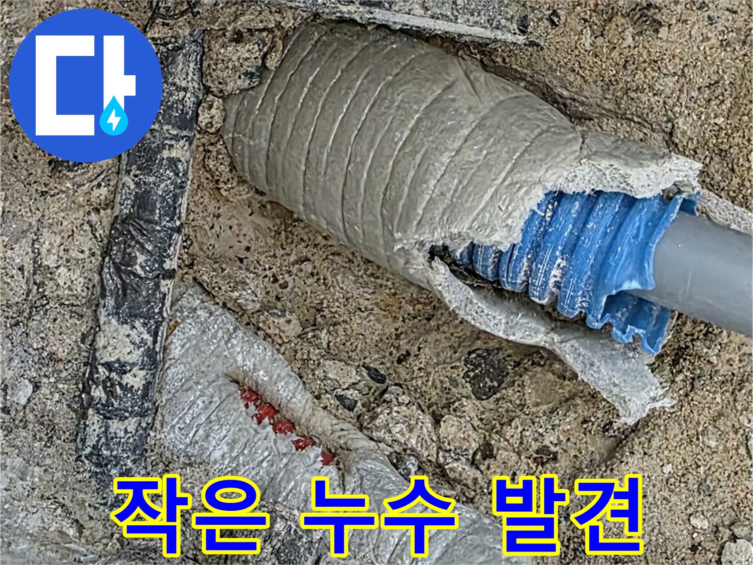 양주 삼숭동 자이아파트 누수 - 작은 누수도 놓치지 않는 꼼꼼함으로 완벽하게 해결!