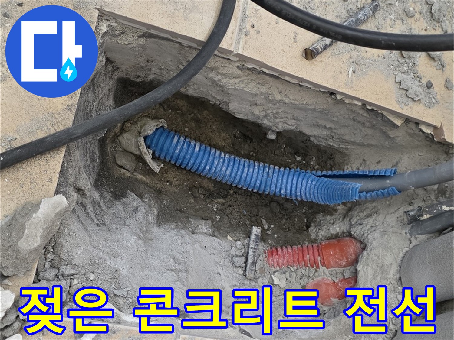 양주 삼숭동 자이아파트 누수 - 젖은 콘크리트와 꼬불거리는 전선관 발견