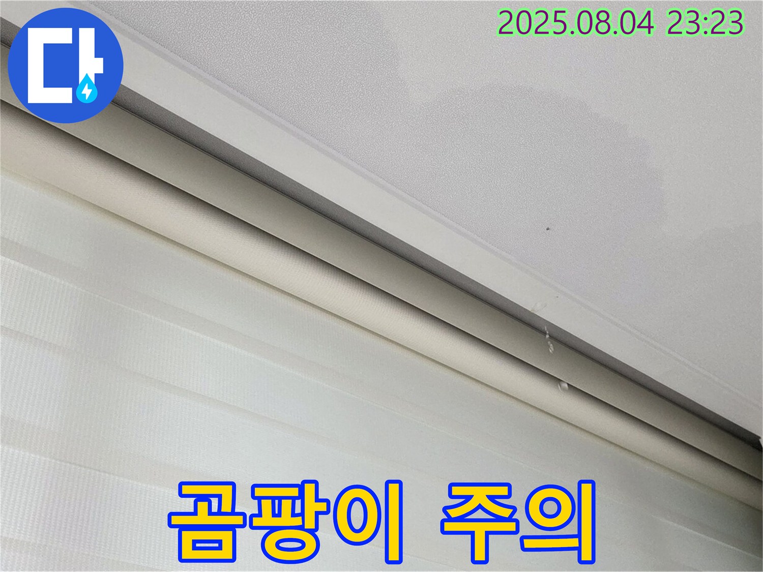 양주 삼숭동 자이아파트 누수 - 천장 얼룩, 곰팡이 발생 주의!