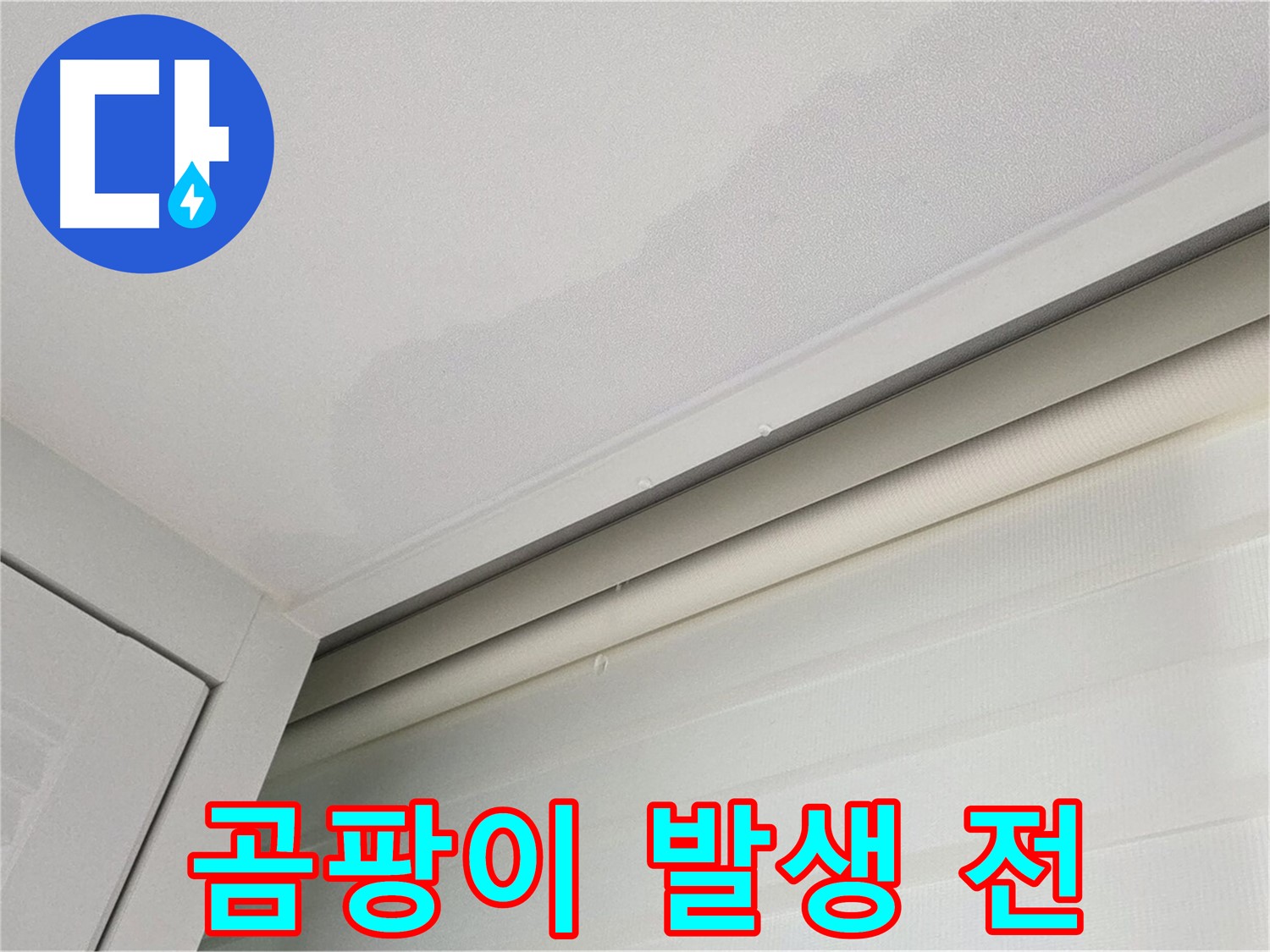 양주 삼숭동 자이아파트 천장 누수 - 곰팡이 발생 전 누수 흔적 발견