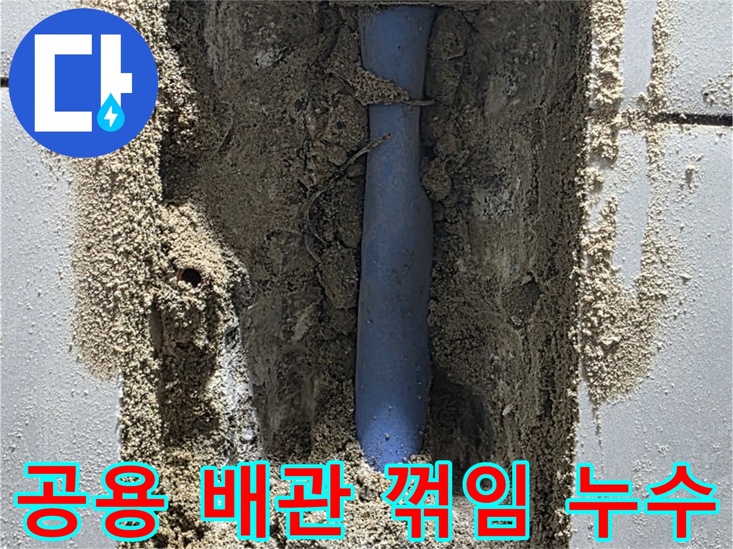 분당 쇳골 누수 - 공용 배관 꺾임으로 누수 발생