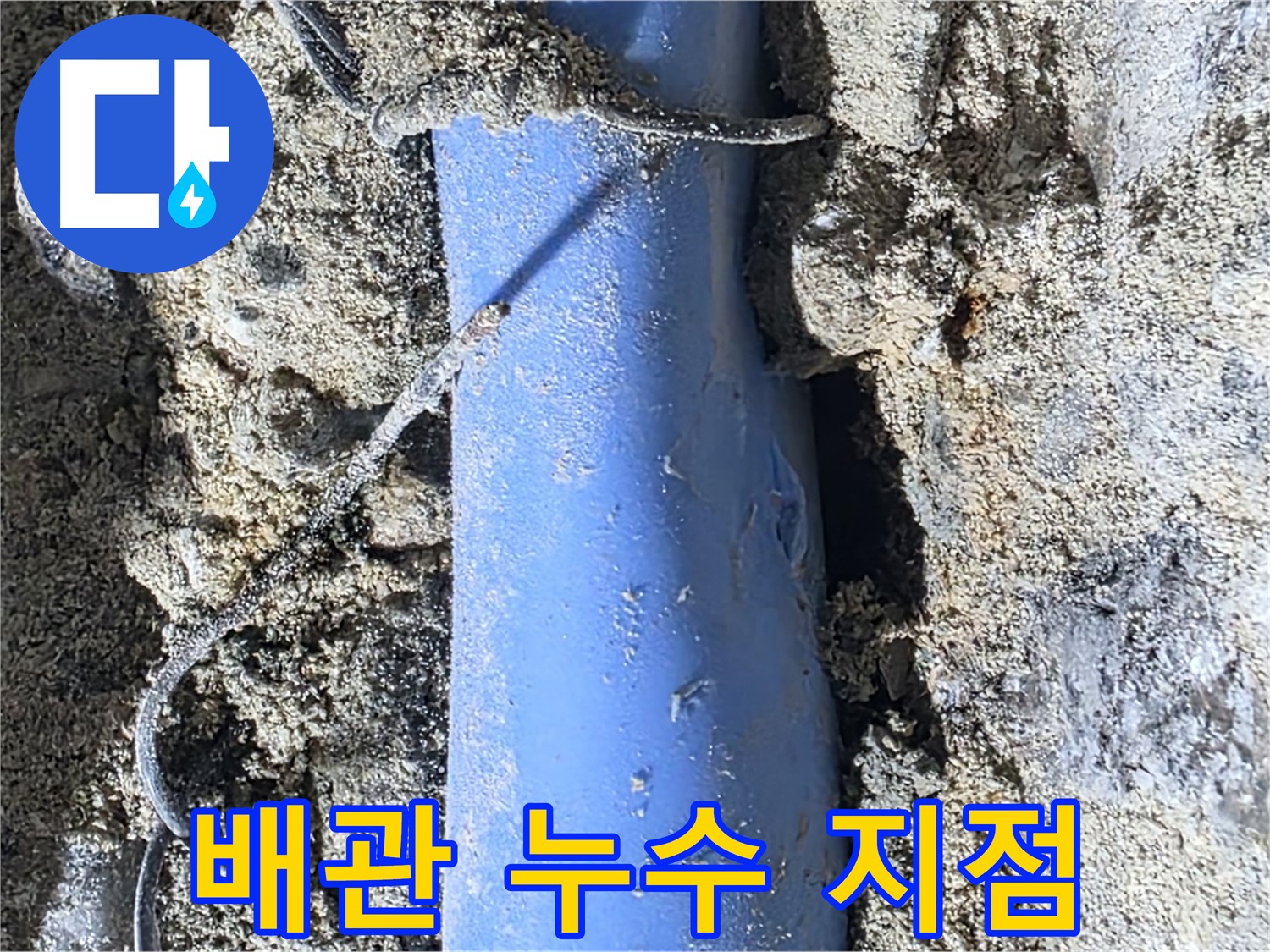 분당 쇳골로 누수 - 정확하게 찾아낸 배관 누수 지점을 클로즈업했습니다.