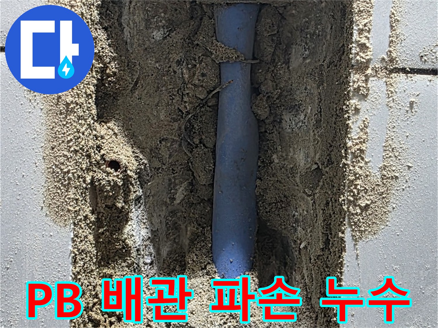 분당 쇳골마을 누수 - PB 배관 파손으로 누수 발생