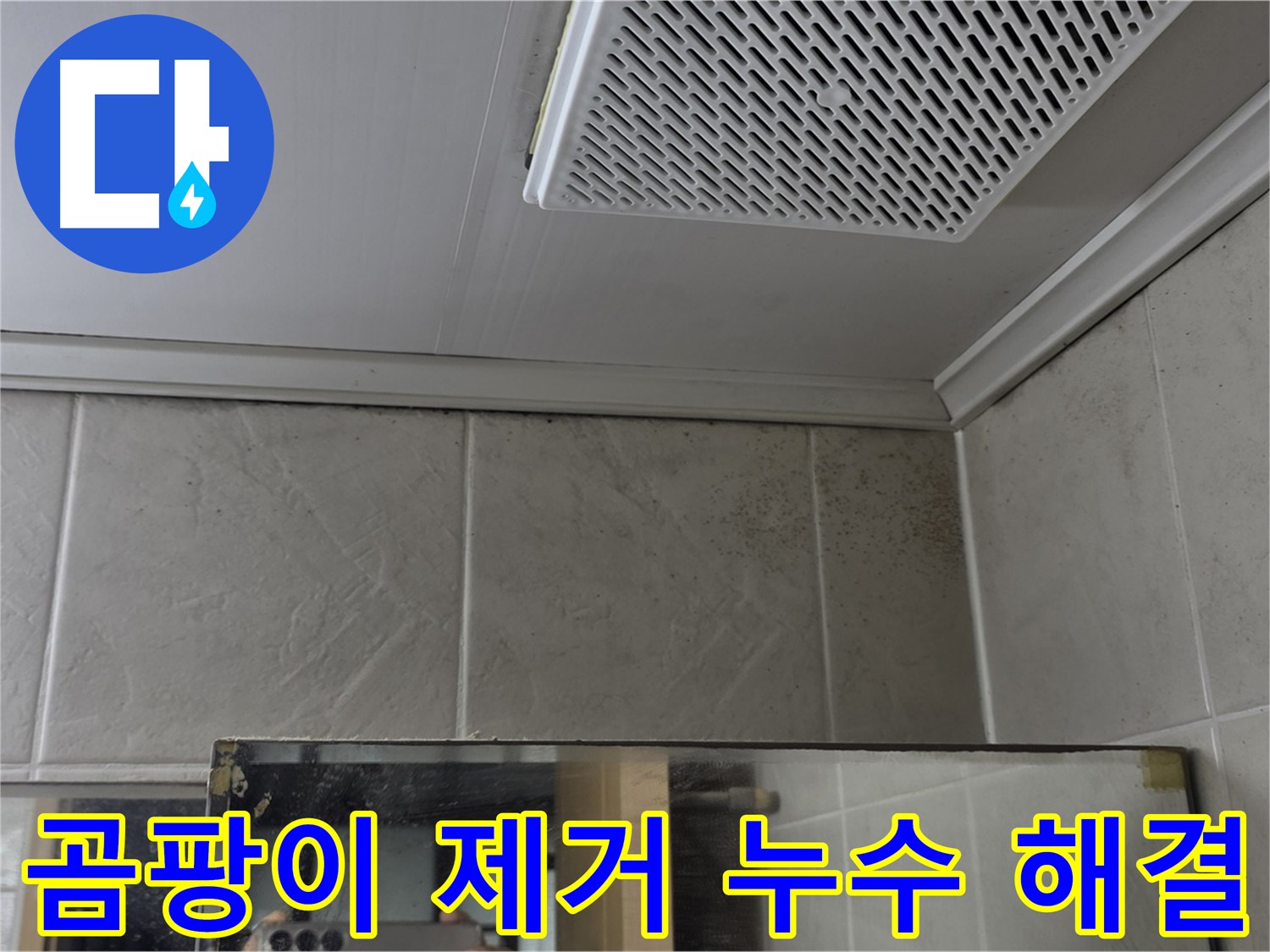 영등포구 당산동 아파트 욕실 천장 누수 - 곰팡이 제거와 함께 누수 문제까지 완벽하게 해결합니다.