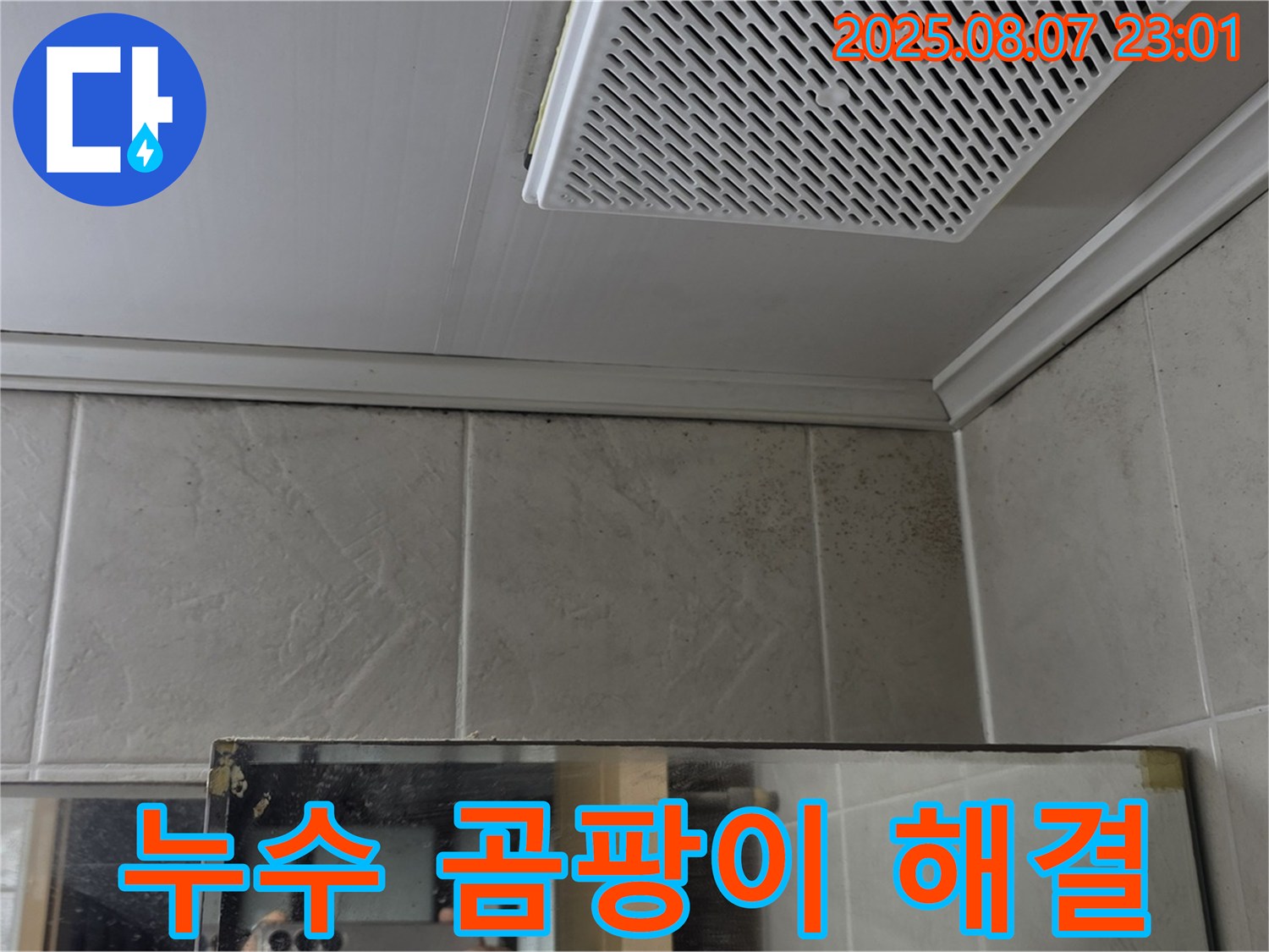 욕실 천장 누수 - 곰팡이 문제 해결 과정 - 깨끗하고 안전한 욕실 환경 조성
