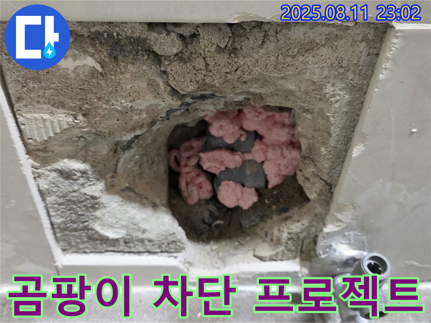 성북구 하월곡동 래미안월곡아파트 누수 - 천장 속 핑크 단열재, 곰팡이 완벽 차단 프로젝트 시작!