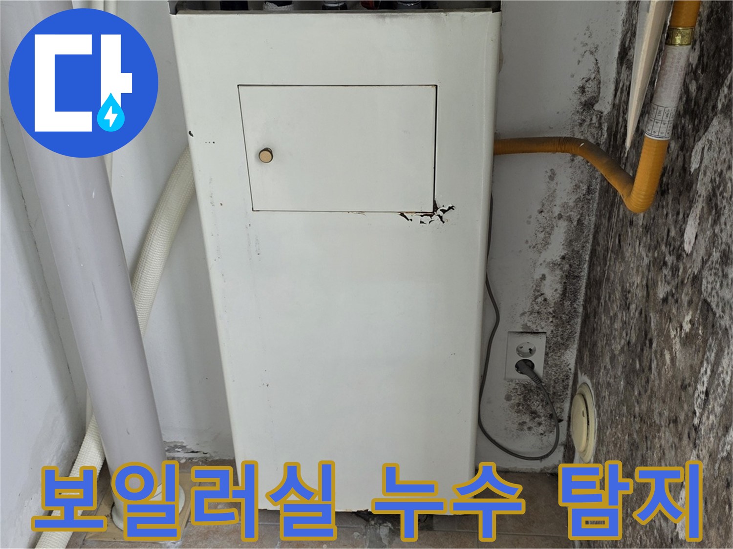 길음1동 숭인로 - 곰팡이 핀 보일러실 누수 탐지 작업 - 누수 전문가의 정확한 탐지