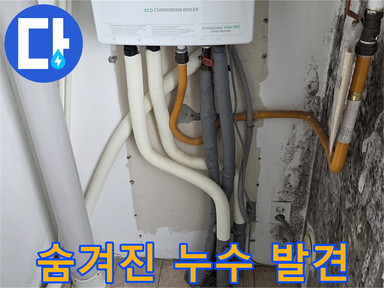 길음1동 아파트 누수 탐지 - 곰팡이 핀 벽, 보일러 하단 숨겨진 누수 지점 발견