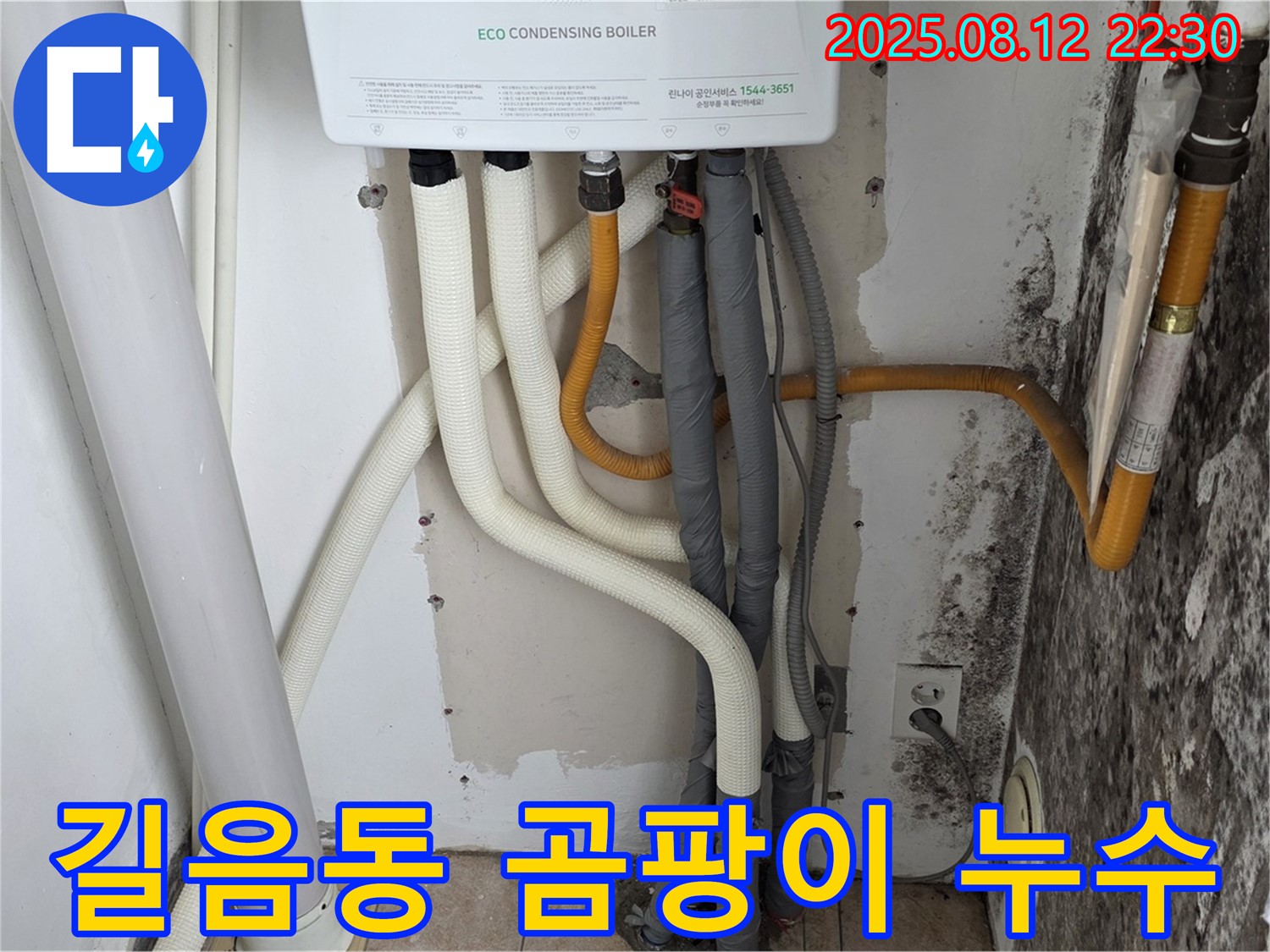 길음동 숭인동 노후 주택의 곰팡이 누수 - 전문 장비로 누수 원인을 찾아 곰팡이 문제까지 해결했습니다.