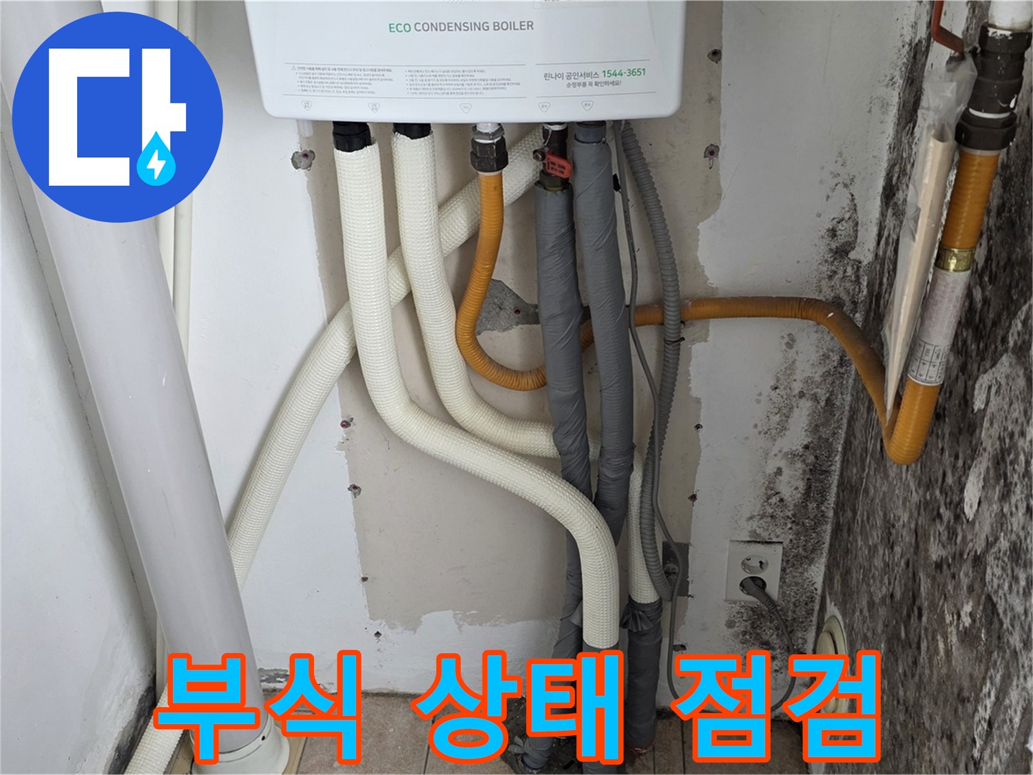 길음동 아파트 누수 진단 - 곰팡이 핀 벽, 보일러 연결부 부식 상태 꼼꼼 점검