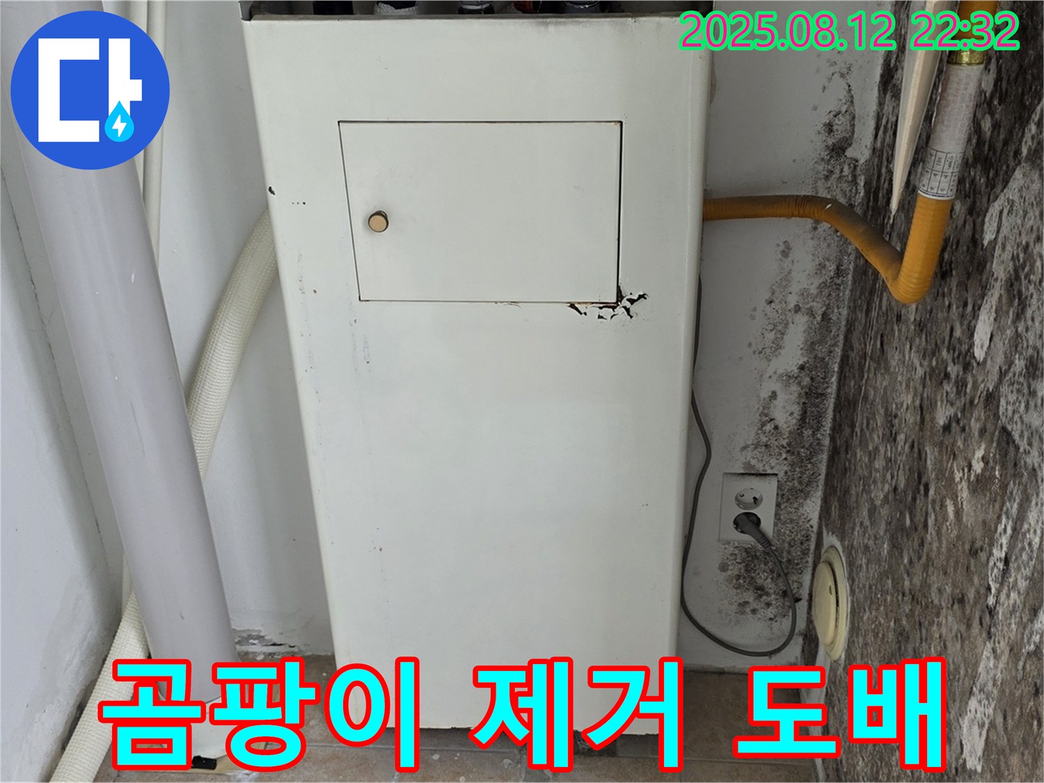 누수탐지 후 곰팡이 제거 및 고급 도배 - 새집처럼 산뜻하게!