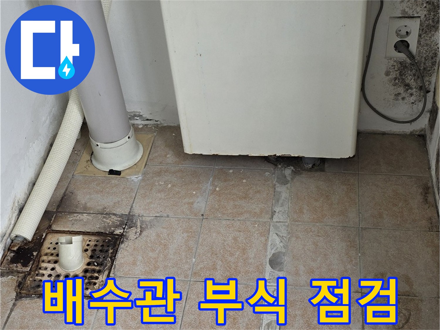 보일러 하단 누수 - 배수관 연결 부위 부식 및 곰팡이 집중 점검