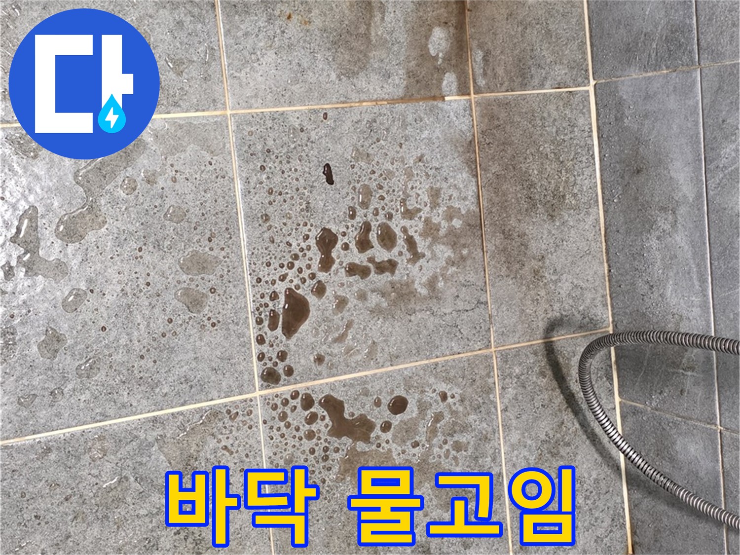 샤워부스 바닥 - 물고임 - 배수구 막힘 의심