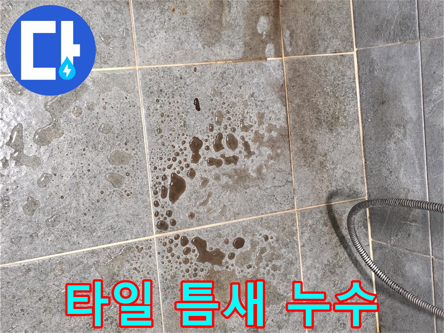 샤워부스 타일 틈새 - 백시멘트 손상 - 누수