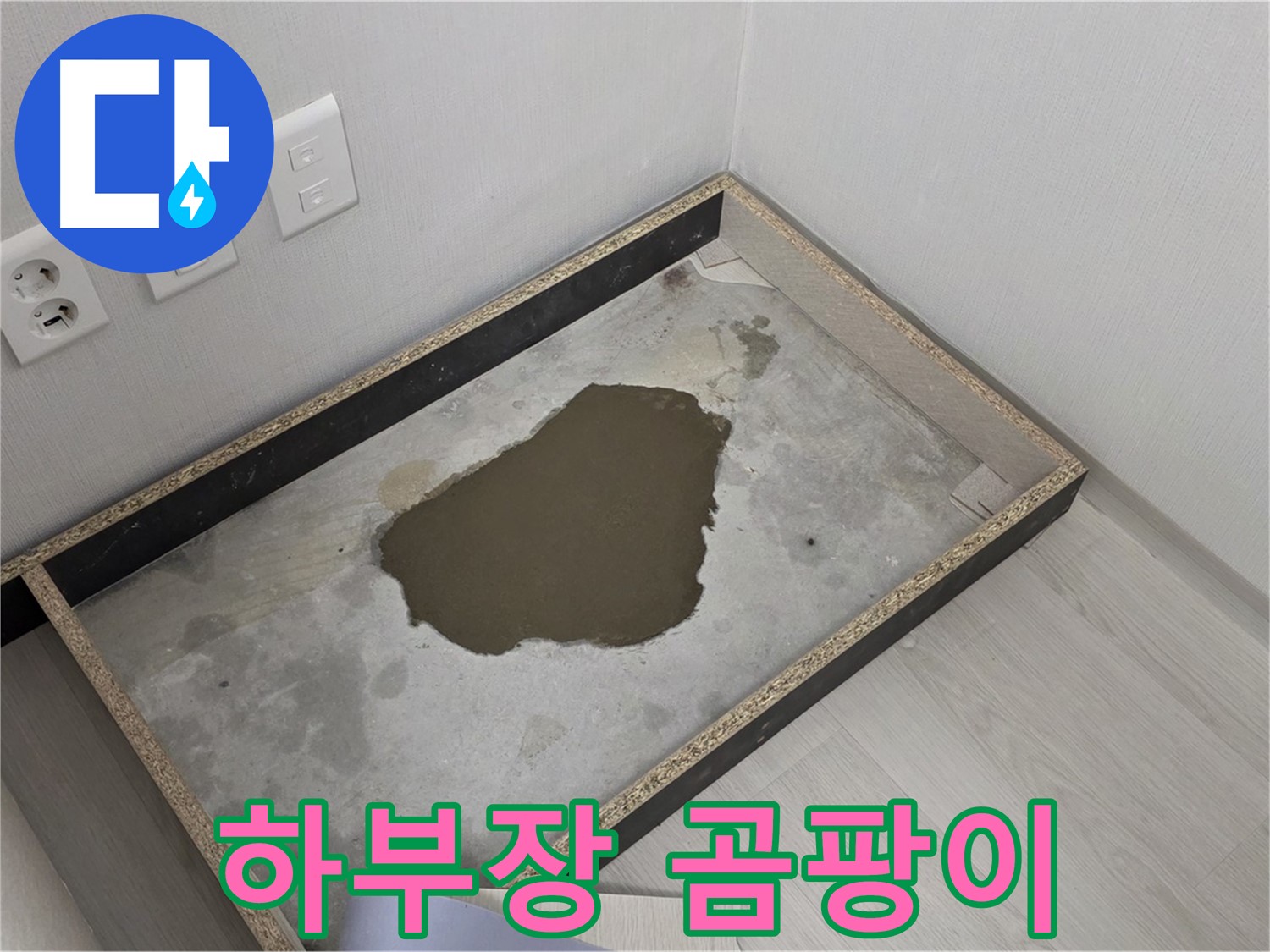 성북구 길음동 누수 - 싱크대 하부장 곰팡이 발견 - 누수 원인 분석 후 곰팡이 제거