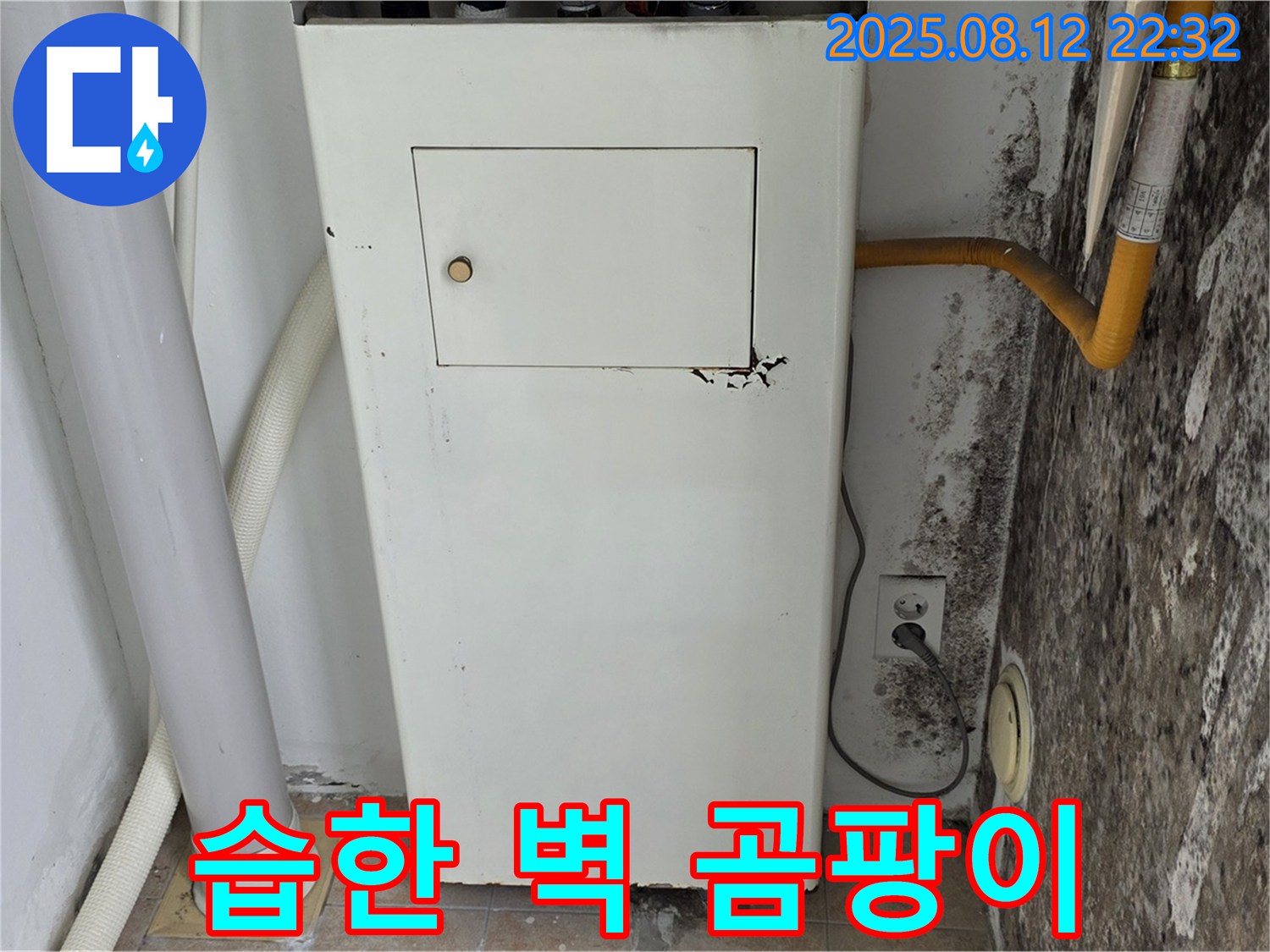 습한 벽은 곰팡이의 온상 - 누수탐지 후 곰팡이 제거가 필수입니다.