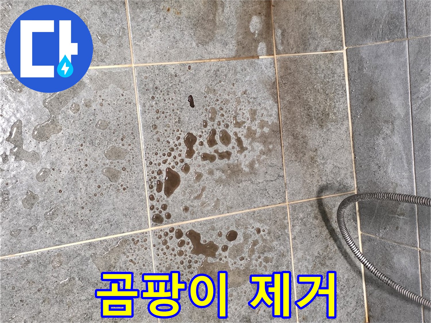욕실 누수 - 곰팡이 제거, 깨끗한 욕실로 변신