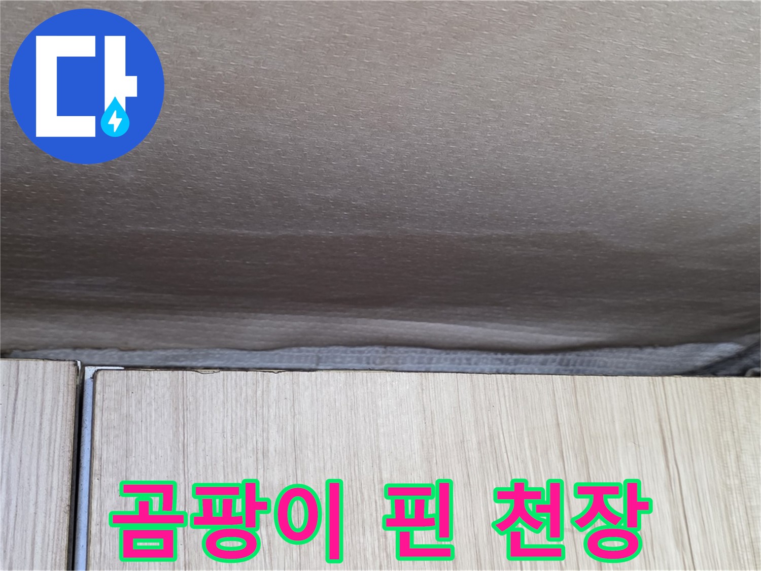 용인시 기흥구 구갈동 누수 - 곰팡이 핀 천장, 건강에 해로운 상황