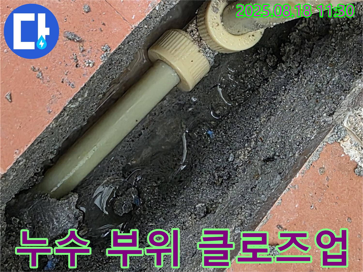 포천 영중면 누수 부위 클로즈업 - 누수 발생 지점을 자세히 보여줍니다.