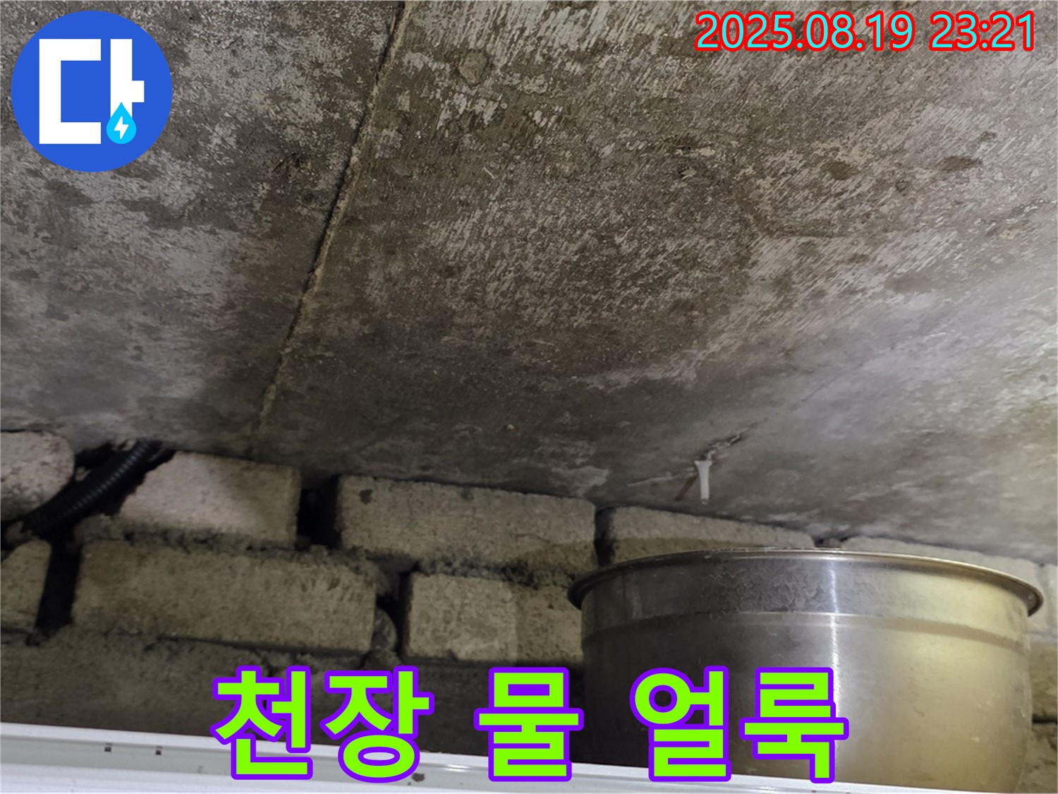 천장 물 얼룩 - 천장에 넓게 퍼진 물 얼룩 자국 - 오랫동안 진행된 누수
