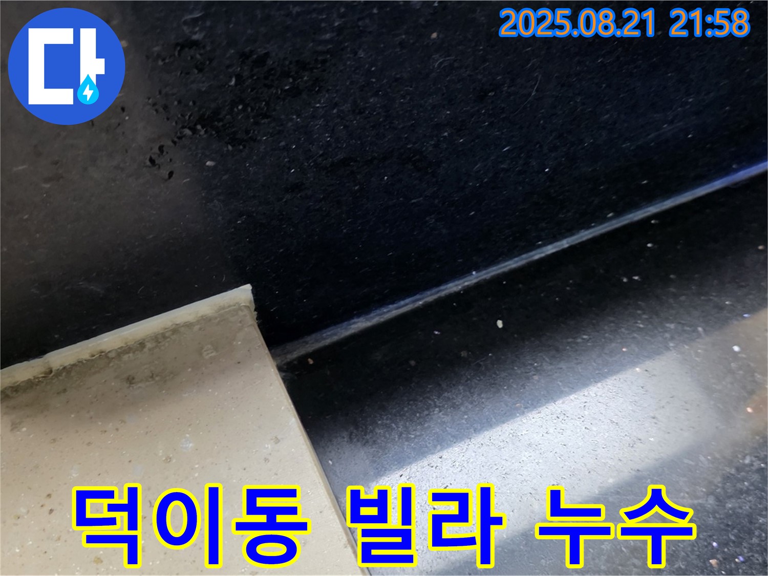 고양시 덕이동 빌라 누수 지점 - 젖어있는 타일과 곰팡이를 통해 누수 위치를 특정하고 문제 해결을 위한 준비 과정