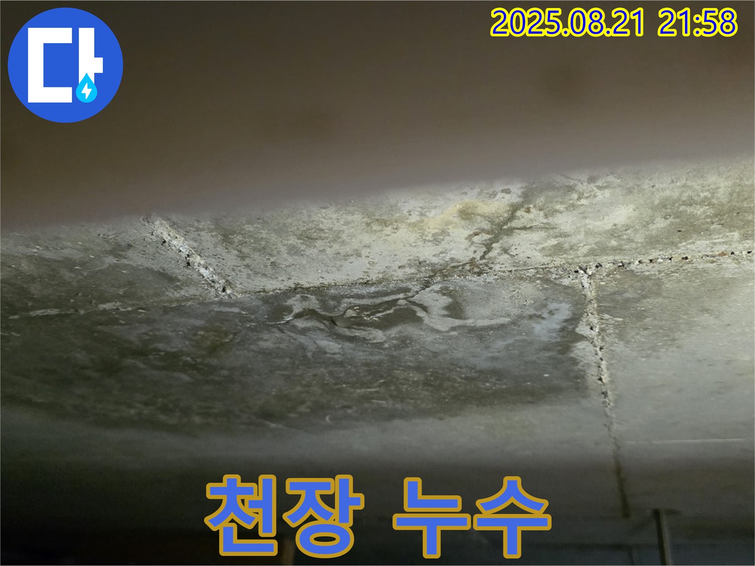 고양시 일산서구 하이파크 빌라 천장 누수 - 누수로 인해 젖은 천장과 물 자국을 보여줍니다.