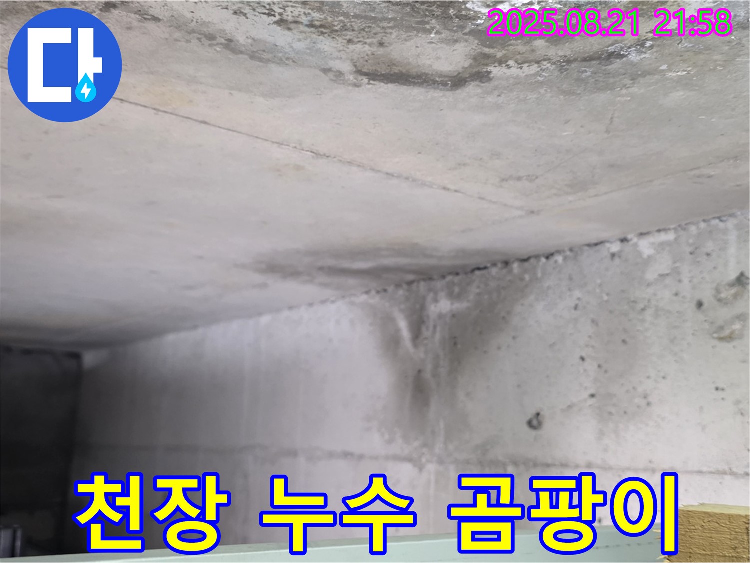 운정 누수 현장 - 콘크리트 천장에 누수 흔적과 곰팡이가 함께 발생한 모습입니다.
