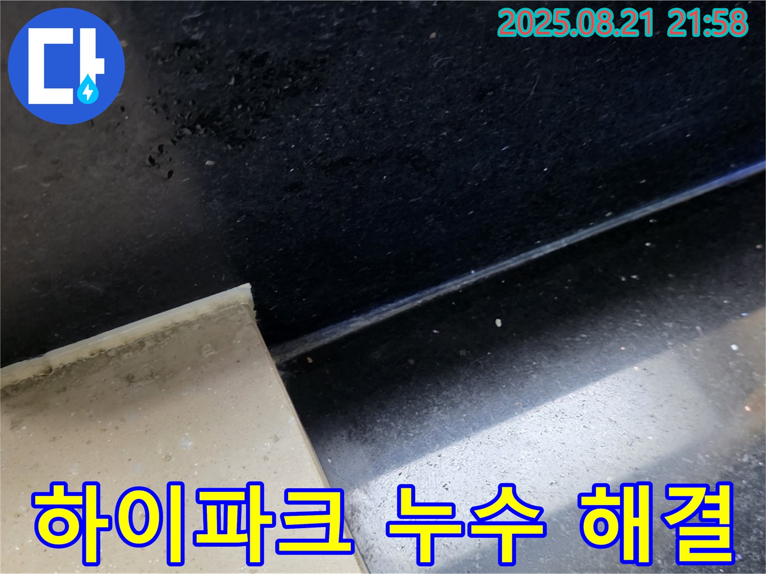 일산 하이파크 누수 현장 - 곰팡이 핀 타일 틈새를 통해 누수 위치를 파악하고 문제 해결을 위한 준비를 하는 모습