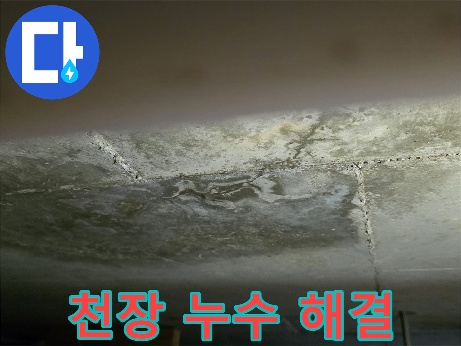 일산서구 하이파크 아파트 천장 누수 해결 - 원인 진단 및 완벽 시공