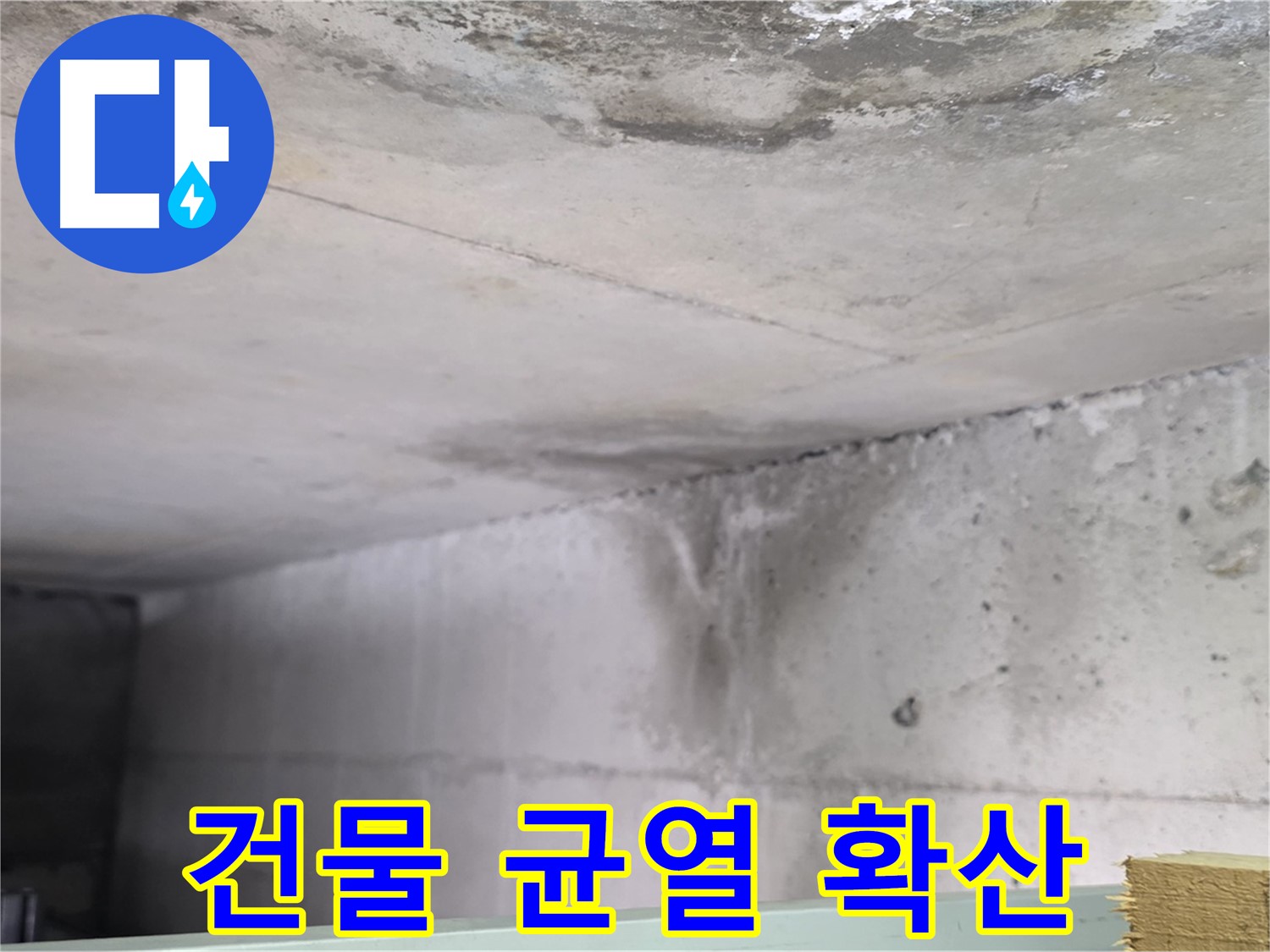 콘크리트 건물 누수 - 고양시 누수, 건물 전체 균열 확산