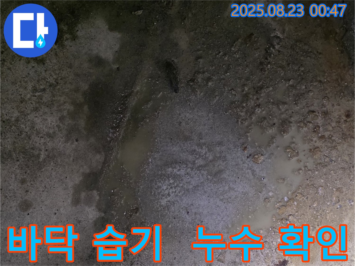 바닥의 습기 - 철원군 서면 와수리 누수 현장에서 누수탐지 전문가가 습기를 통해 누수 위치를 추정하고 있습니다.