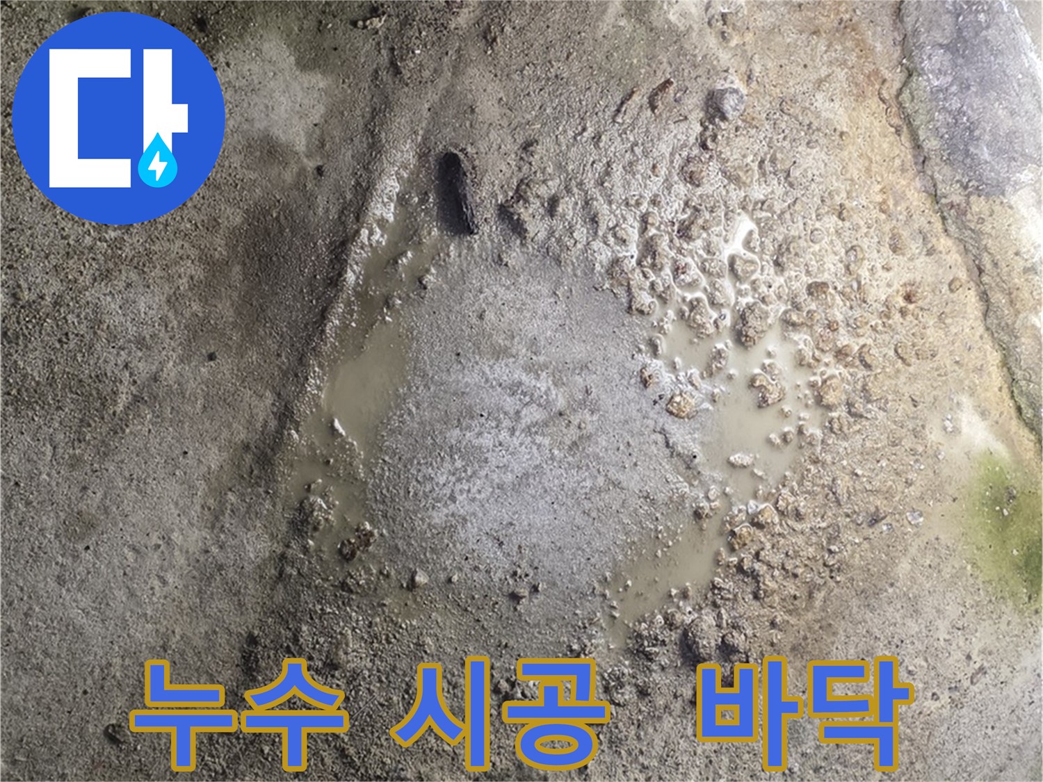 철원군 서면 와수리 누수 시공 - 누수 탐지부터 완벽한 시공까지 책임지고 진행합니다.