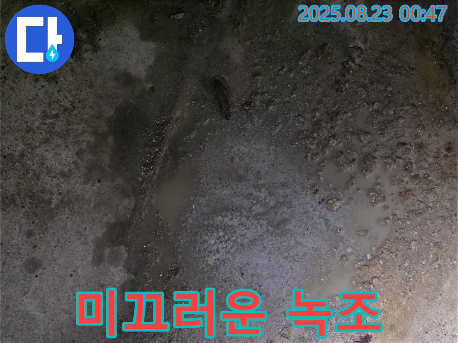 철원군 서면 와수리 누수 현장 - 콘크리트 바닥 물 고임 - 물이 고여 미끄러운 녹조가 발생했습니다 - 미끄럼 사고에 주의해야 합니다.