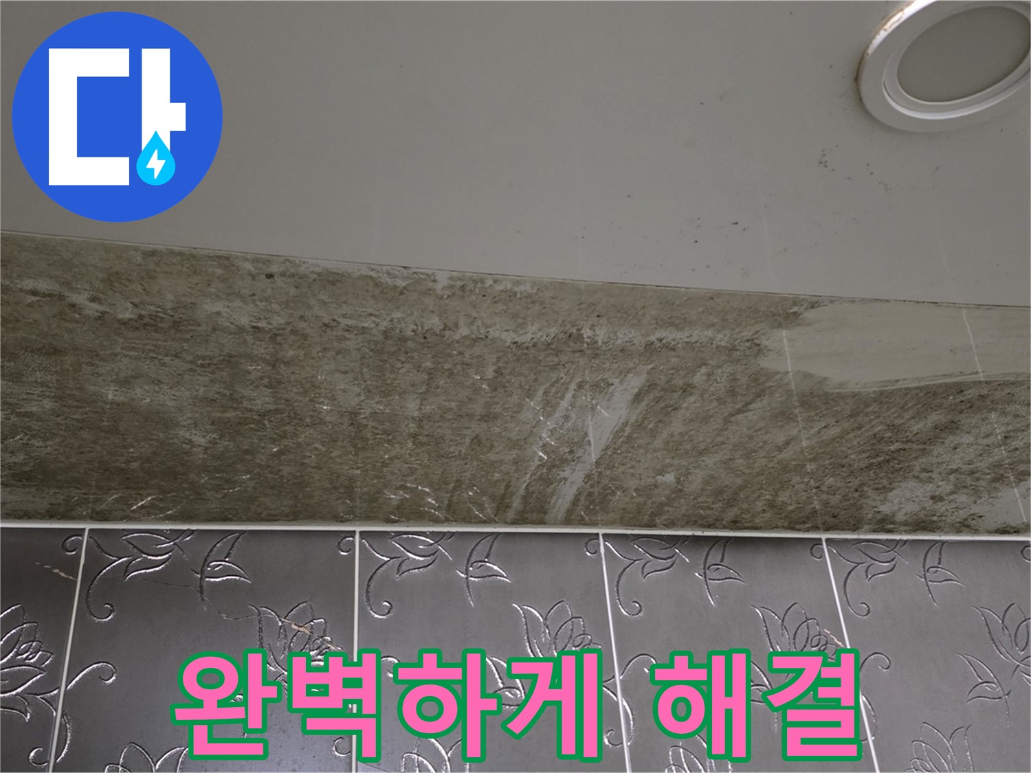 곰팡이 뒤덮인 화장실 천장 - 완벽하게 해결 보장