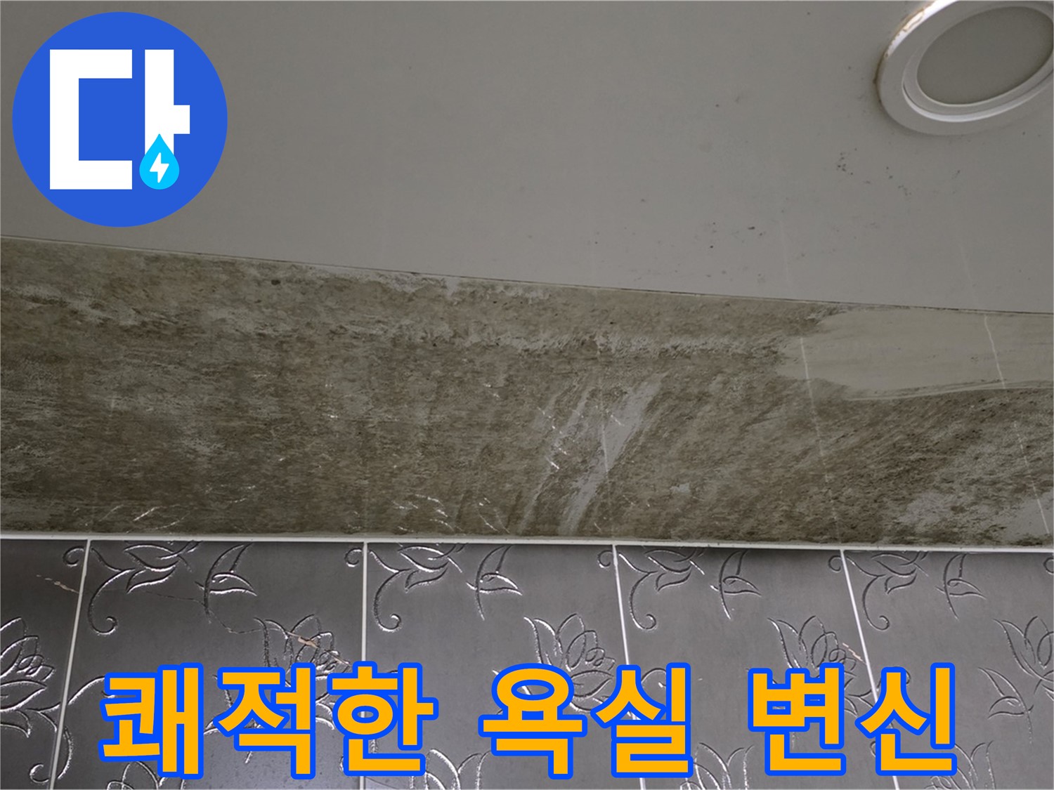 곰팡이 심각한 욕실 - 누수 해결, 곰팡이 OUT! 쾌적한 욕실로 변신시켜 드립니다!