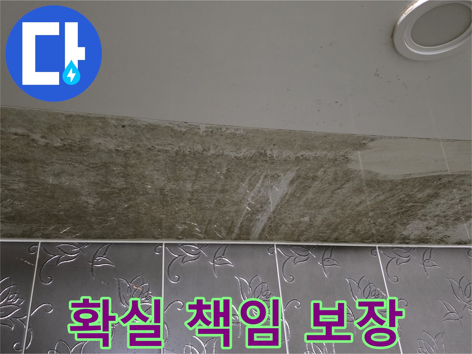 곰팡이 핀 화장실 천장 - 곰팡이 OUT, 쾌적하고 뽀송한 우리집! 확실하게 완성 책임 시공 보장합니다!